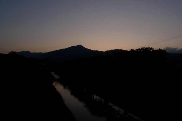 ブル仲間の結婚 ブル仲間の結婚